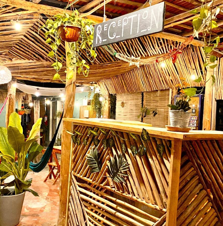 Barco Verde Hostel Isla Holbox Exteriér fotografie