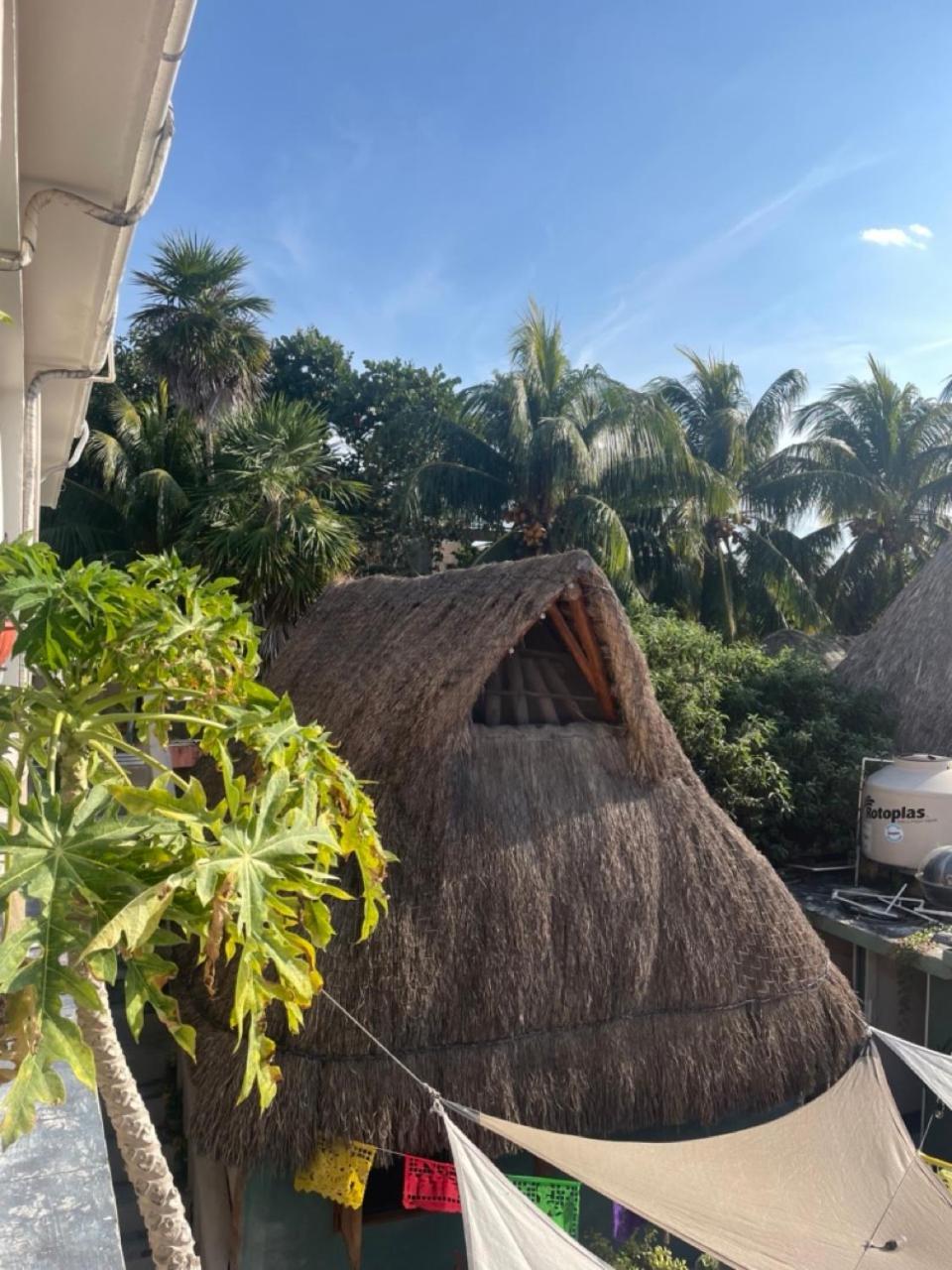 Barco Verde Hostel Isla Holbox Exteriér fotografie