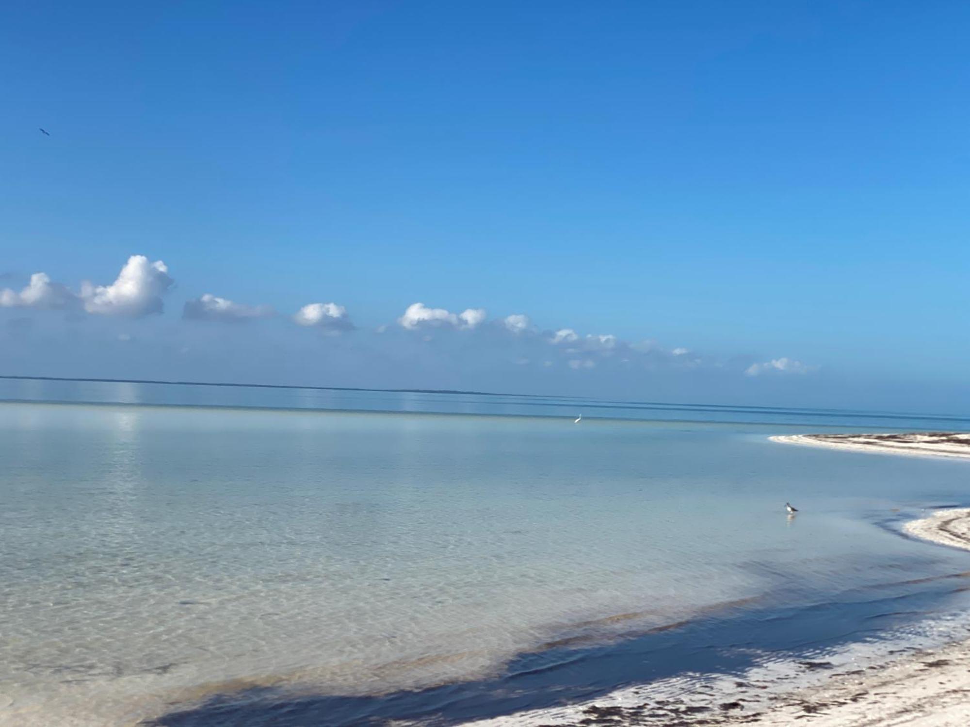 Barco Verde Hostel Isla Holbox Exteriér fotografie